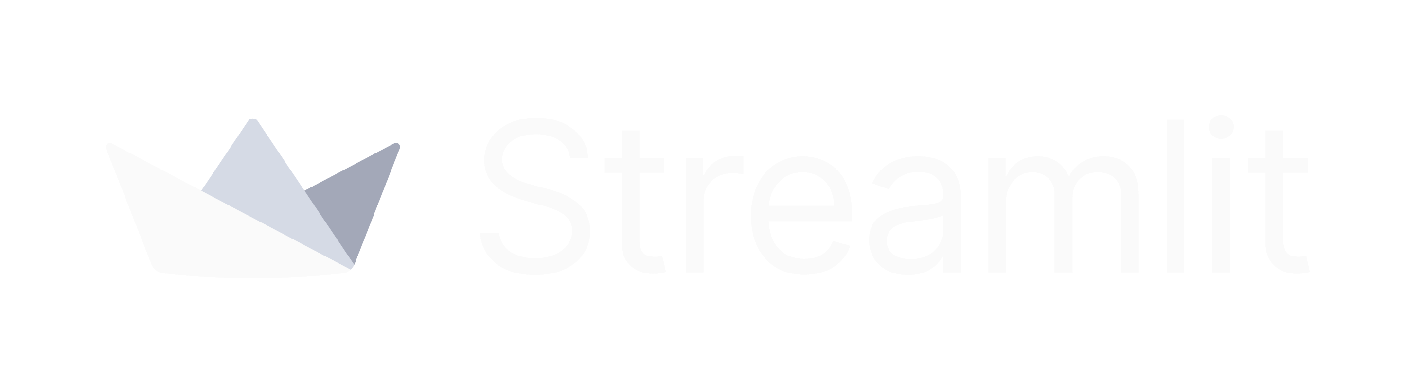 Streamlit light horizontal logo on dark background